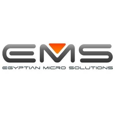 Egyptian Micro Solution